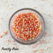 Load image into Gallery viewer, Beaded Rope with Delica 11s Beginner-Plus Kumihimo Necklace Kit