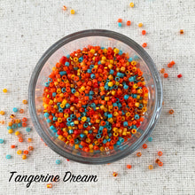 Load image into Gallery viewer, Beaded Rope with Delica 11s Beginner-Plus Kumihimo Necklace Kit