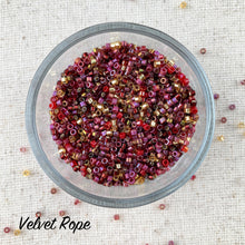 Load image into Gallery viewer, Beaded Rope with Delica 11s Beginner-Plus Kumihimo Necklace Kit