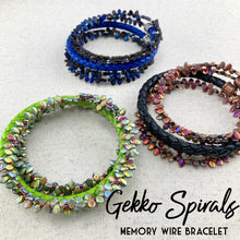 Load image into Gallery viewer, Gekko Spirals