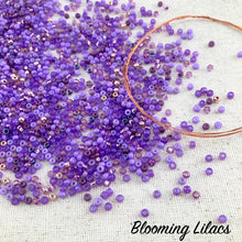 Load image into Gallery viewer, Onward: Kumihimo Beaded Rope with Wire Finishing