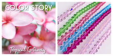 Load image into Gallery viewer, 6mm Crystal Bicones:  Color Story Assortment
