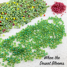 Load image into Gallery viewer, Awesome Ombré Necklace &amp; Bracelet Kit
