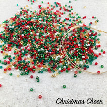 Load image into Gallery viewer, Onward: Kumihimo Beaded Rope with Wire Finishing
